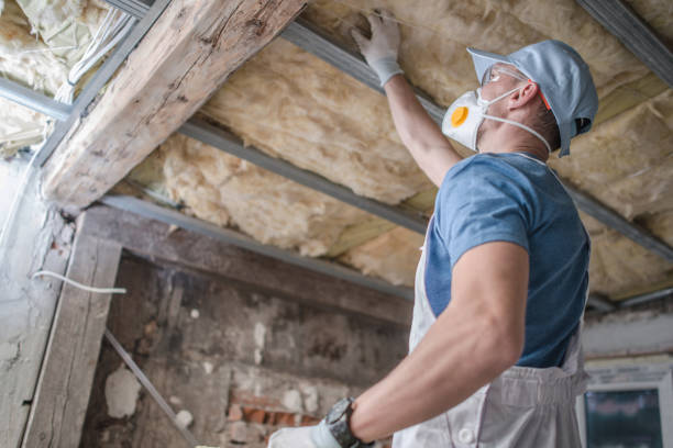 Best Insulation Installation Services in Reno, OH