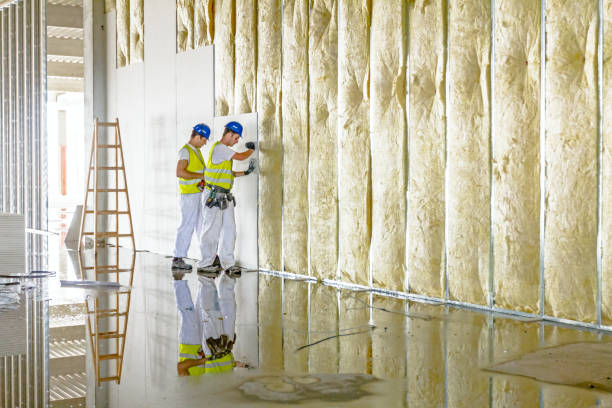 Best Types of Insulation in Reno, OH